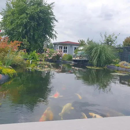 Beim Oldtimer * Rees